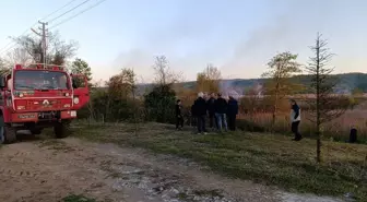 Sakarya'nın Karasu İlçesinde 50 Dönüm Alan Yangında Zarar Gördü