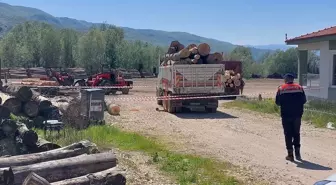 Tomruk Devrilmesi Sonucu İşçi Hayatını Kaybetti
