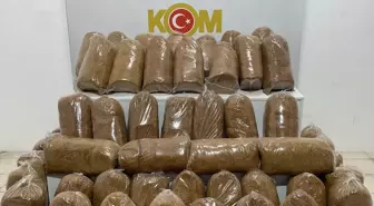 Samsun'da 240 Kilogram Kaçak Tütün Ele Geçirildi