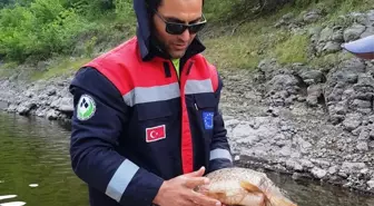 Samsun'da Kaçak Balık Avcılığına Karşı Denetimler Artırıldı