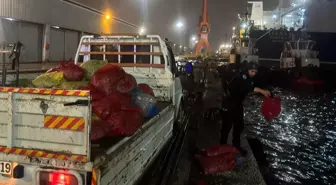 Samsun'da Kaçak Midye Avına Baskın: 2 Ton Ele Geçirildi
