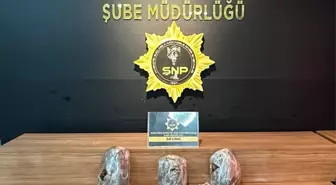 Şanlıurfa'da Uyuşturucu Operasyonu: 12 Tutuklama