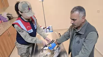 Yaralı Kartal Viranşehir'de Tedavi Altına Alındı
