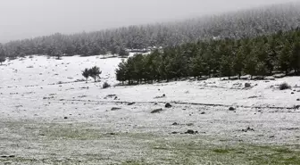 Kars'ın Sarıkamış İlçesinde Kar Yağışı Doğayı Beyaz Örtüyle Kapladı
