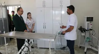 Siirt Belediyesi'nden Sokak Hayvanları İçin Rehabilitasyon Merkezi