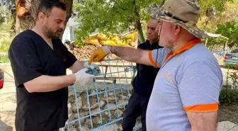Yaralı Gökkuzgunu Sırbistan'dan Denizli'ye Geldi