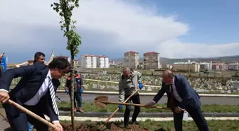 Sivas'ta Bebek Kabirlerine Kalpli Mezarlık Düzenlemesi