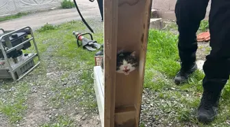 Sivas'ta Boğulma Tehlikesi Geçiren Kedi İtfaiye Ekiplerince Kurtarıldı
