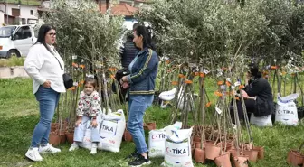 TİKA, Arnavutluk'ta İhtiyaç Sahibi Ailelere Zeytin Fidanı ve Gübre Hibe Etti