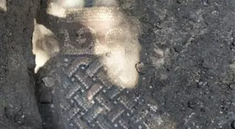 Tokat'ta Kaçak Kazıda Roma Mozaiği Bulundu, Baba-Oğul Tutuklandı