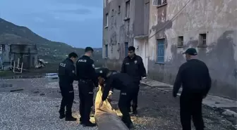 Nazımiye'de Şiddetli Rüzgar Sonrası Çadır Kuruldu