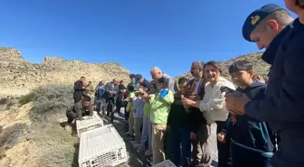 Zirai Don Malatya'nın Kayısı Bahçelerini Vurdu