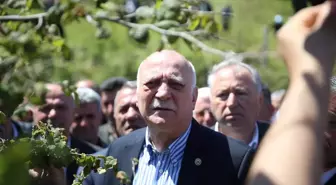 Zirai Don Fındık Bahçelerinde Büyük Zarar Yarattı
