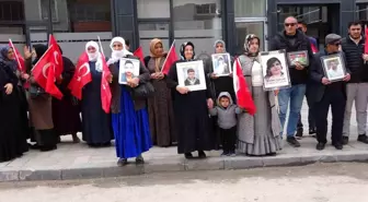 Van'da Evlat Nöbeti 100. Haftasında