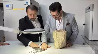 Yerli ve Milli Hibrit Ayçiçeği Tohumunun Yeni Versiyonu Tescillendi