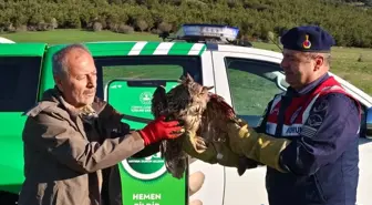 Yozgat'ta Yaralı Puhu Dikenli Tellere Takıldı