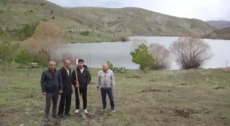 Sivas'ın Zara ilçesinde Kayısı Bahçeleri Kuruldu