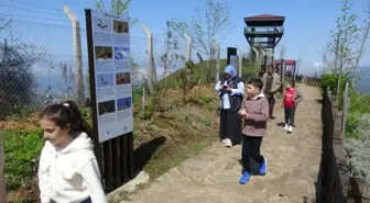 Rize'de Kuş Gözlemi: 12 Yırtıcı Tür Tespit Edildi