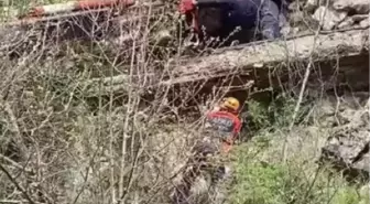 Karabük'te Yüksekten Düşen İnek Vinçle Kurtarıldı