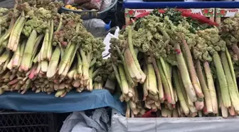 Ünü ABD'ye kadar yayıldı! 300 liraya satılıyor, kanserin yeni ilacı
