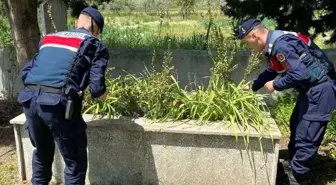 Karpuzlu jandarması şehit Özçelik'i unutmadı