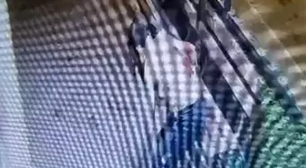 Antalya'da Bıçakla Cinayet: Genç Kardeş Hapse Girdi