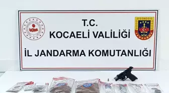 Darıca'da Jandarma Operasyonu: 1 Kilo Bonzai ve Tabanca Ele Geçirildi