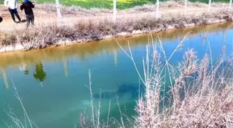 Şanlıurfa'da Kaybolan Çocuğun Cesedi Sulama Kanalında Bulundu