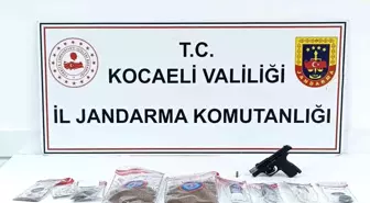 Kocaeli'de Uyuşturucu Operasyonu: 1.176 kg Bonzai Ele Geçirildi
