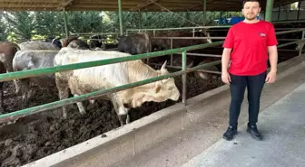 Kurban Bayramı Öncesi Fiyatlar Belli Oldu