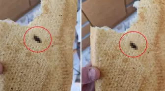 Vatandaşa satılan ekmeğin içinden çıkana bakın! Kontrol etmese yiyecekti