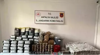 Antalya Elmalı'da Bandrolsüz Tütün ve Çay Operasyonu