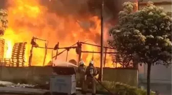 Pendik'te, Sabiha Gökçen Havalimanı yakınında yangın - 1
