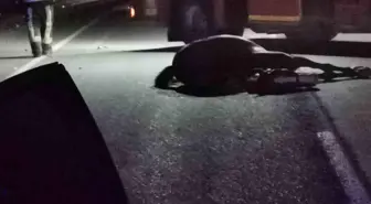 Çivril'de Başlı Başına At Kazası: Bir Ölü, Bir Yaralı