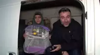 İstanbul'da Deprem Sonrası Parklarda Geceleyen Vatandaşlar