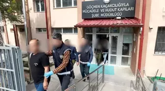 Sivas'ta Yasadışı Göçmen Operasyonu: 5 Afgan Yakalandı