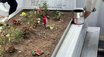 Bilecik Şehitliğinde kapsamlı çalışma