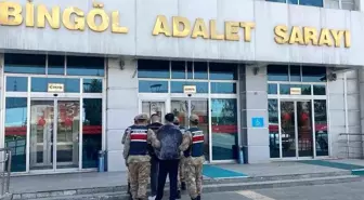 Bingöl'de Hakkında Kesinleşmiş Hapis Cezası Olan İki Şahıs Yakalandı