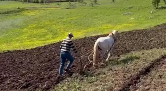Diyarbakır'da Çiftçinin Atla Tarla Sürdüğü Anlar