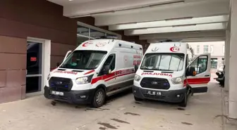 Adıyaman'da Köpek Saldırısına Uğrayan Çocuk Yaralandı