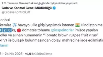Yurda Giriş Yapan Domates Tohumları Virüsle Bulaşık Bulundu