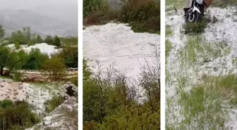 İzmir 'yaz geldi' derken beyaza büründü