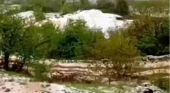 Ödemiş'te Dolu Yağışı Araziyi Beyaza Bürüdü
