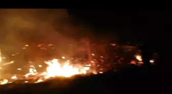 Malatya'nın Darende İlçesinde Sazlık Alanında Yangın