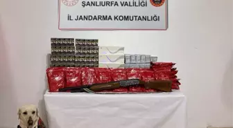 Şanlıurfa'da Kaçak Alkol ve Tütün Operasyonları: Çok Sayıda Gümrük Kaçağı Ürün Ele Geçirildi