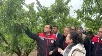 Zirai Donun Tarım Üzerindeki Etkileri İncelendi