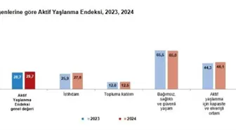 TÜİK: Türkiye'nin aktif yaşlanma endeksi 29,7 oldu