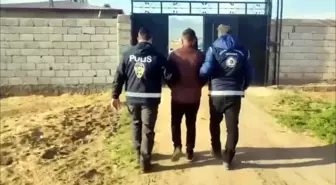 Ağrı ve Muğla'da Göçmen Kaçakçılığı Operasyonları: 42 Organizatör ve 433 Düzensiz Göçmen Yakalandı
