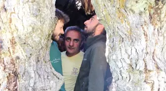 Hakkari'deki Asırlık Ceviz Ağacına 12 Kişi Sığdı