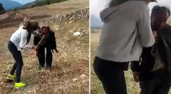 Çobanı sopayla döven kız kardeşler tahliye edildi